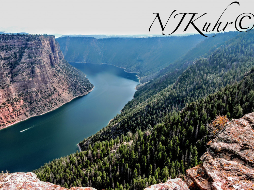 Red Canyon Overlook