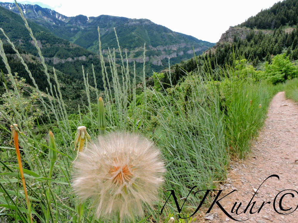 wind caves trail
