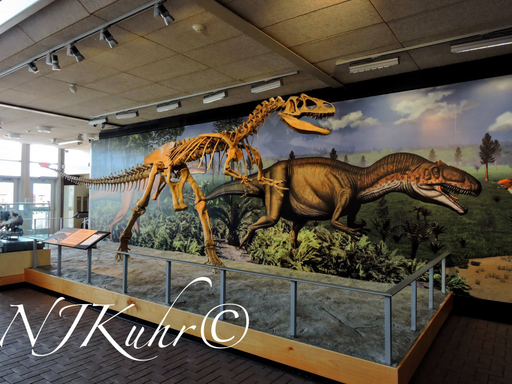 Dinosaur National Monument quarry