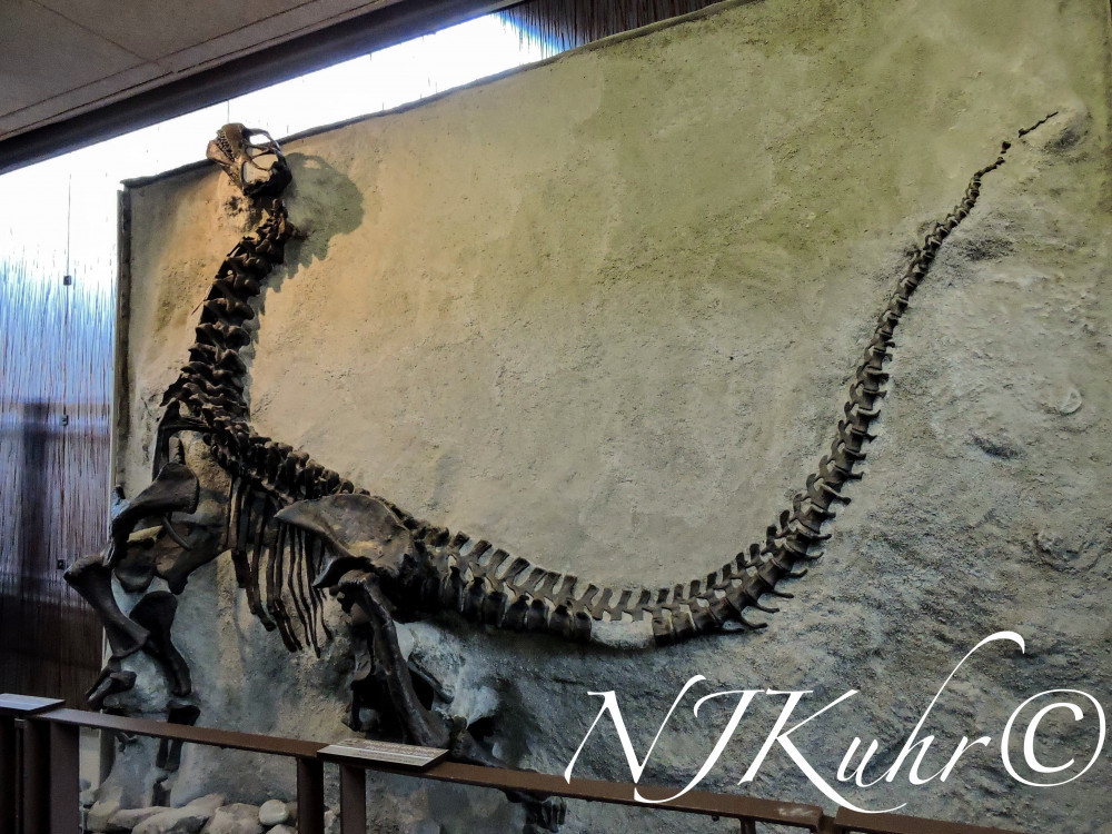 Dinosaur National Monument Quarry