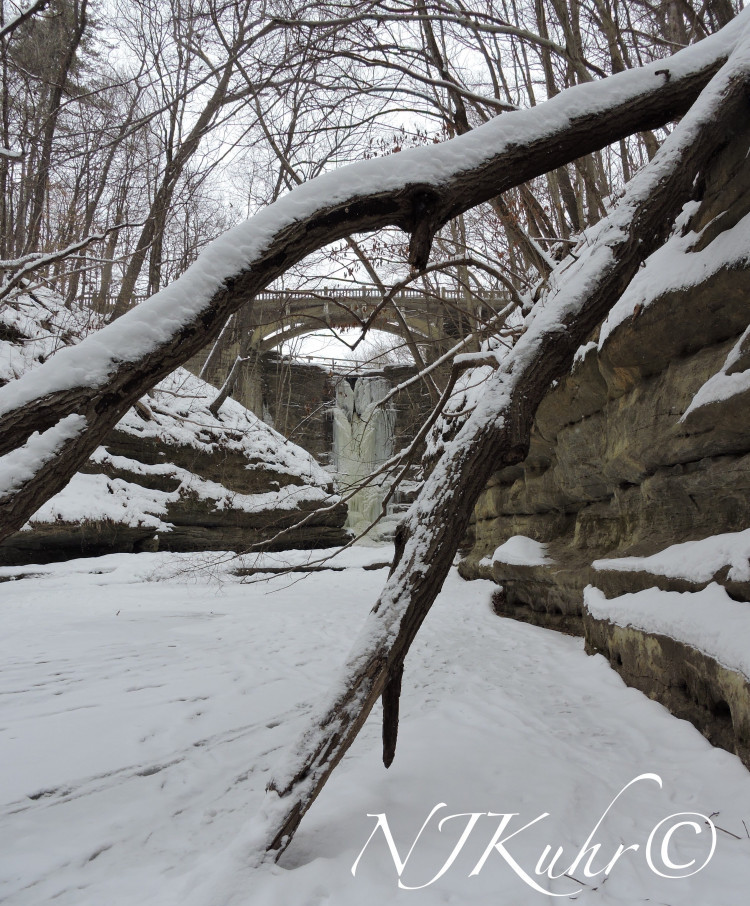 Matthiessen State Park