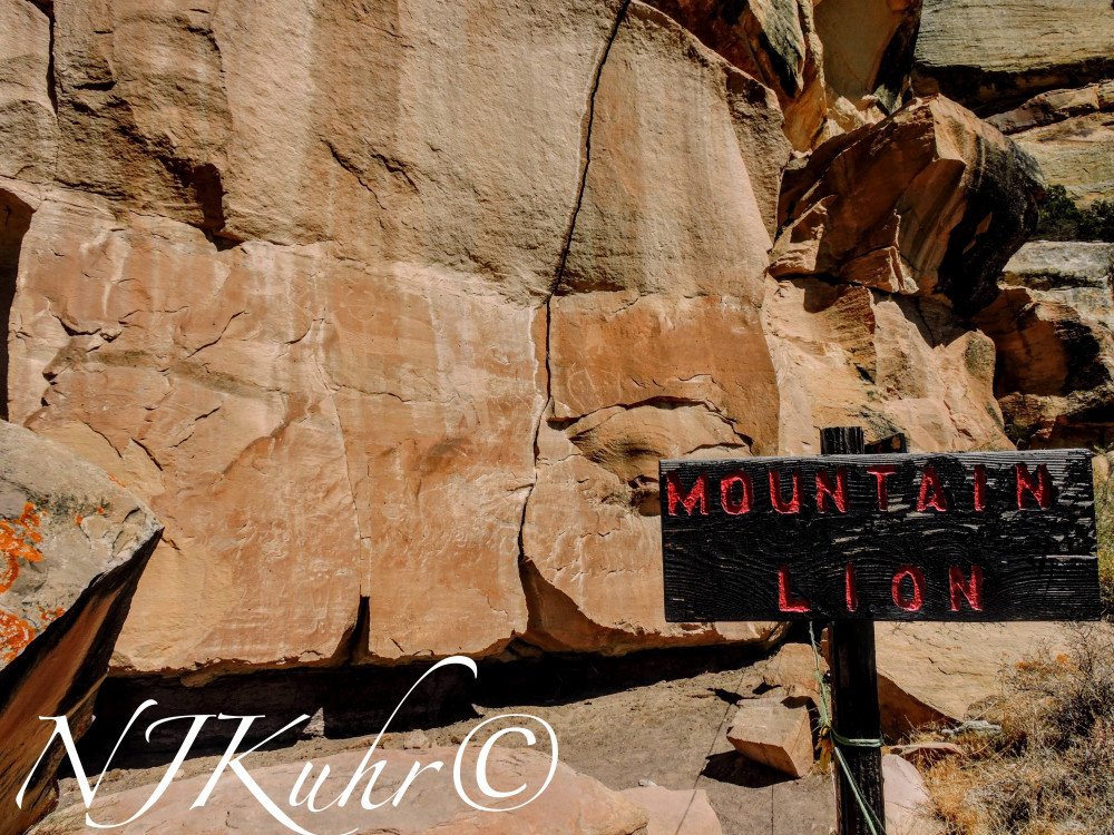 McConkie Ranch Petroglyphs