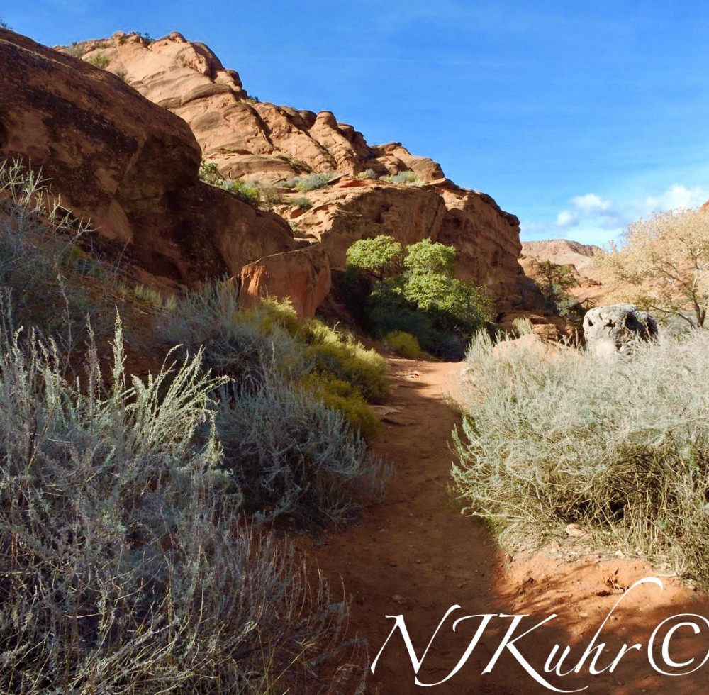 Red Reef Trail, Red Cliffs