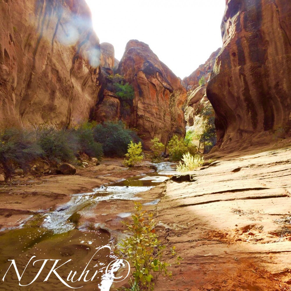 Red Reefs Trail, Red Cliffs